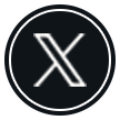公式X